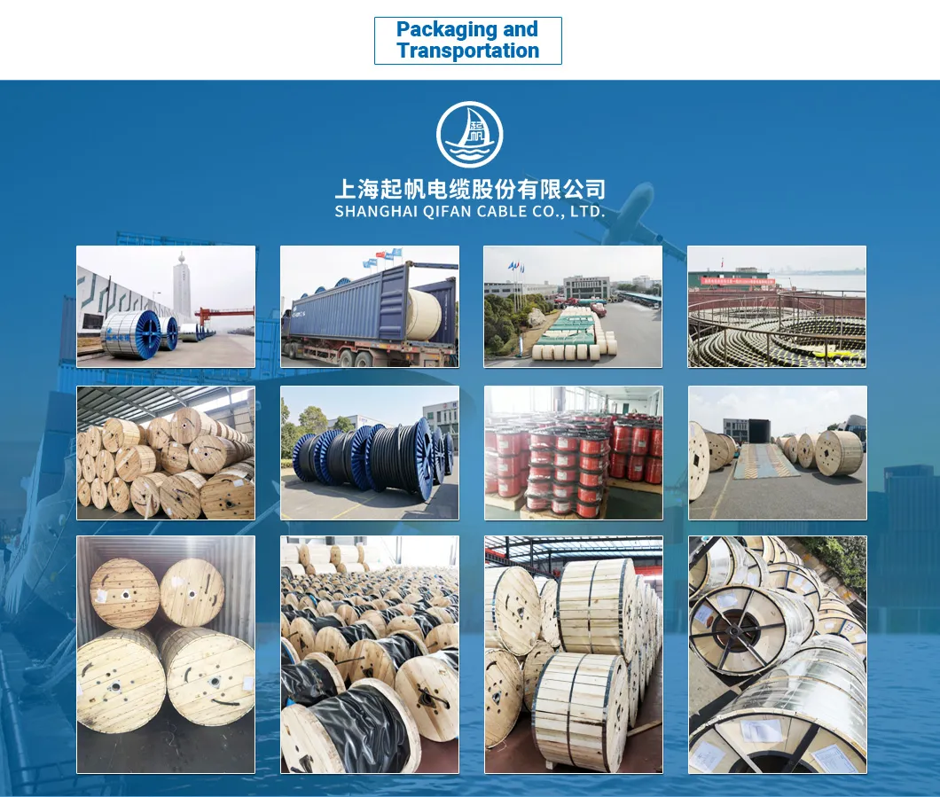 1000V Nayy Nayy-O N2xy-J Yjv VV Swa Sta Armoured VDE Standard Power Cable XLPE Cable