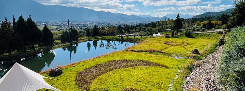 Hidden Attractions in Lijiang: A Guide to Experiencing Them Authentically